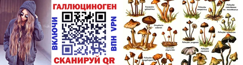 Псилоцибиновые грибы ЛСД  сколько стоит  Карабулак 